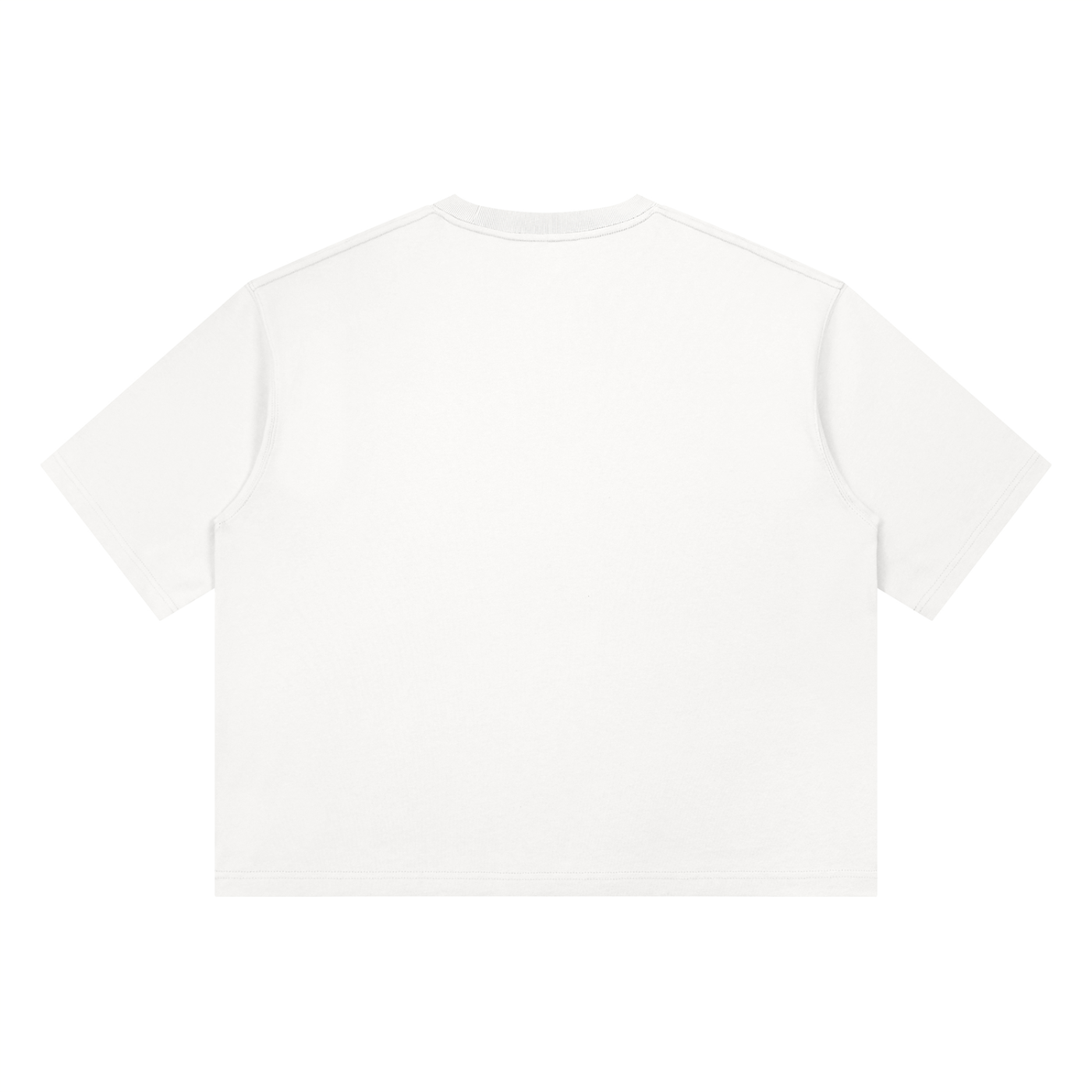 SGC_Heavyweight Boxy T_White