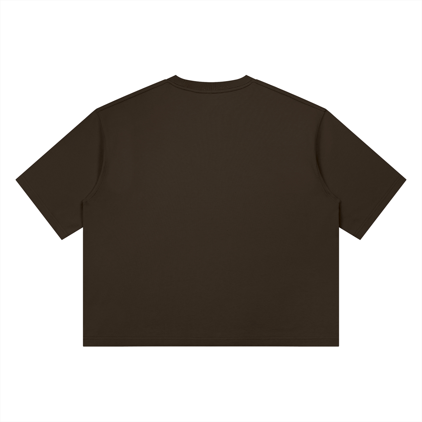 SGC_Heavyweight Boxy T_Coffee